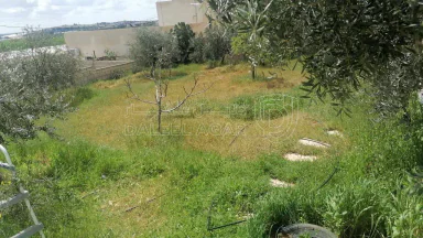 فيلا/منزل في عمان - طريق المطار - اللبن - 135,000 دأ - صورة NaN