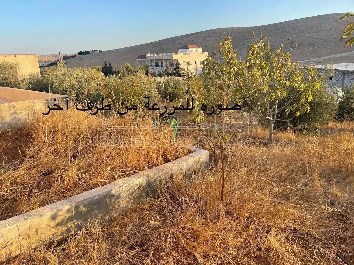 فيلا/منزل في المفرق - حوشا  - 65,000 دأ - صورة 13