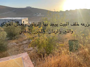 فيلا/منزل في المفرق - حوشا  - 65,000 دأ - صورة NaN