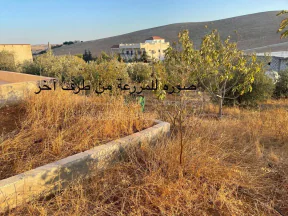 فيلا/منزل في المفرق - حوشا  - 65,000 دأ - صورة NaN