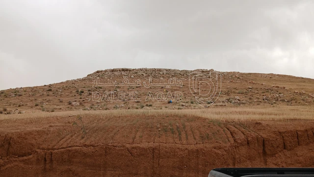 أرض - جريبا تلعة كايد - 70000 دأ