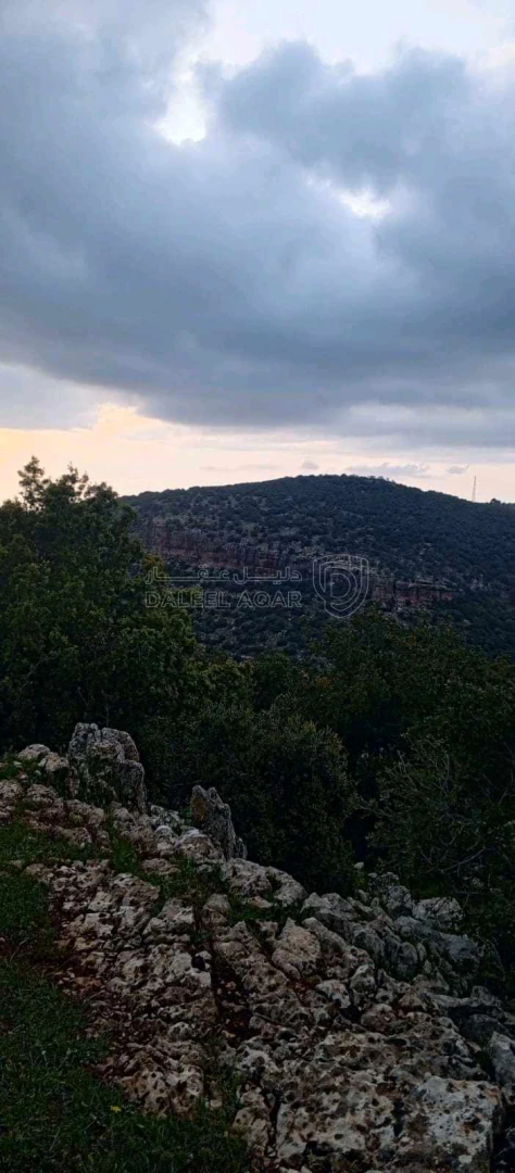 أرض في أرض على رأس جبل مطله على فلسطين في منطقه سياحيه - 250,000 دأ - صورة 1