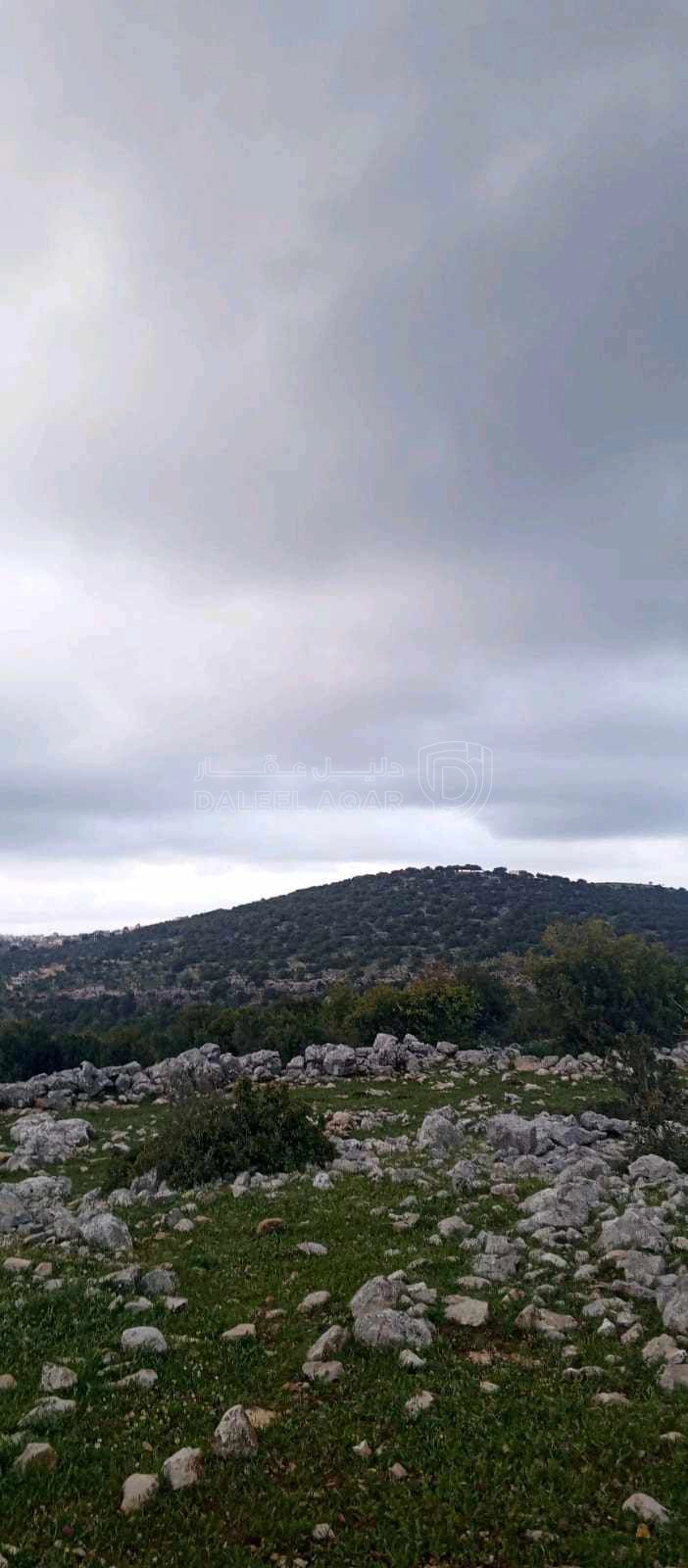 أرض في أرض على رأس جبل مطله على فلسطين في منطقه سياحيه - 250,000 دأ - صورة 1