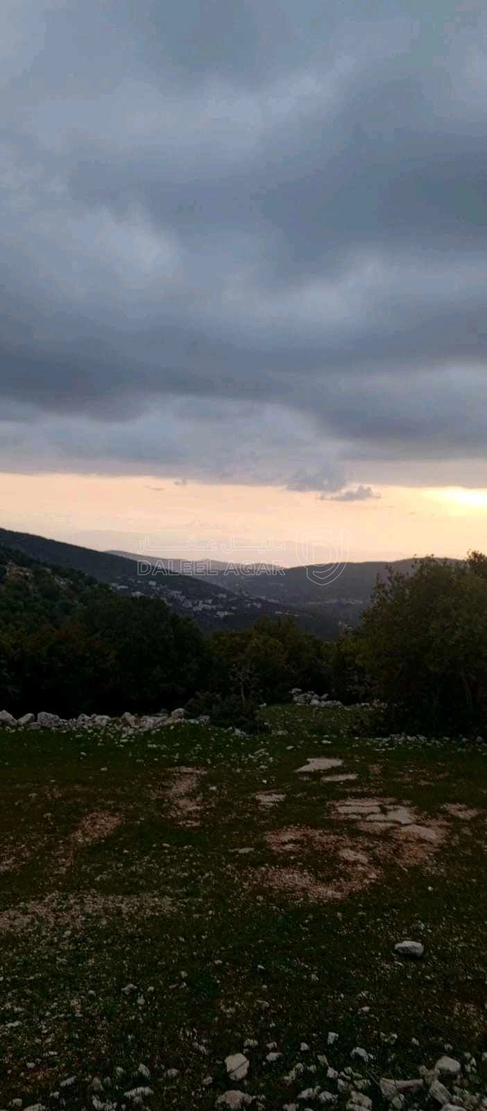أرض في أرض على رأس جبل مطله على فلسطين في منطقه سياحيه - 250,000 دأ - صورة 1