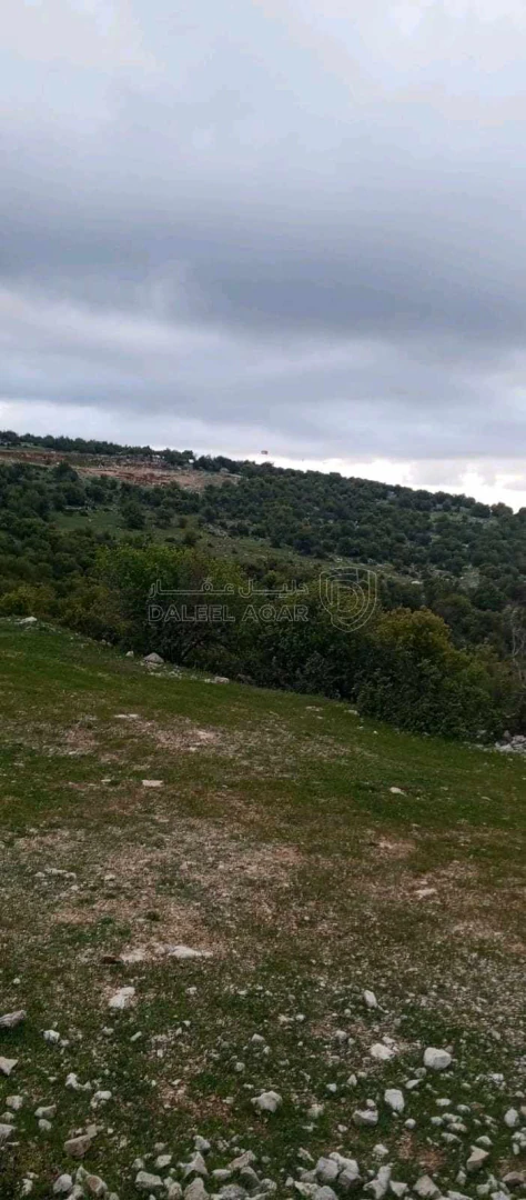 أرض في أرض على رأس جبل مطله على فلسطين في منطقه سياحيه - 250,000 دأ - صورة 1