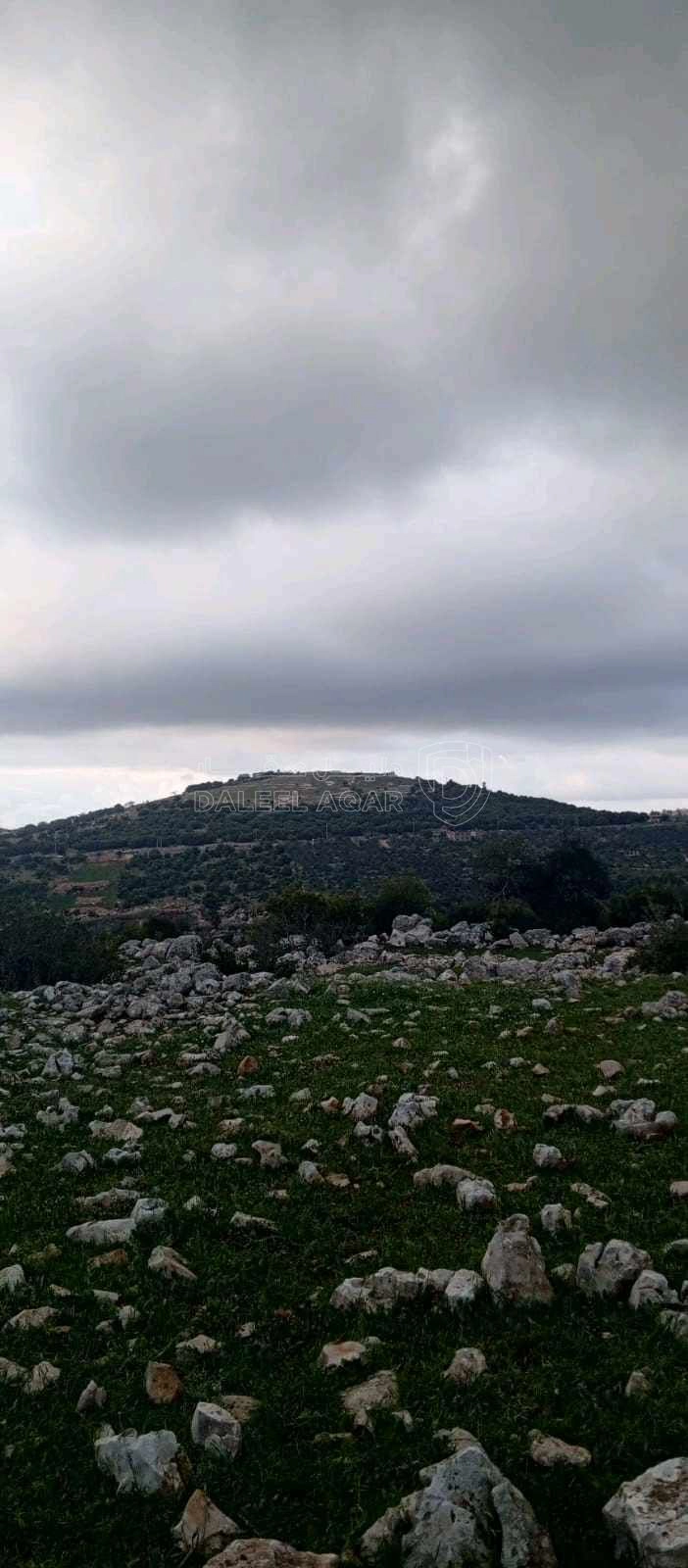 أرض في أرض على رأس جبل مطله على فلسطين في منطقه سياحيه - 250,000 دأ - صورة 1