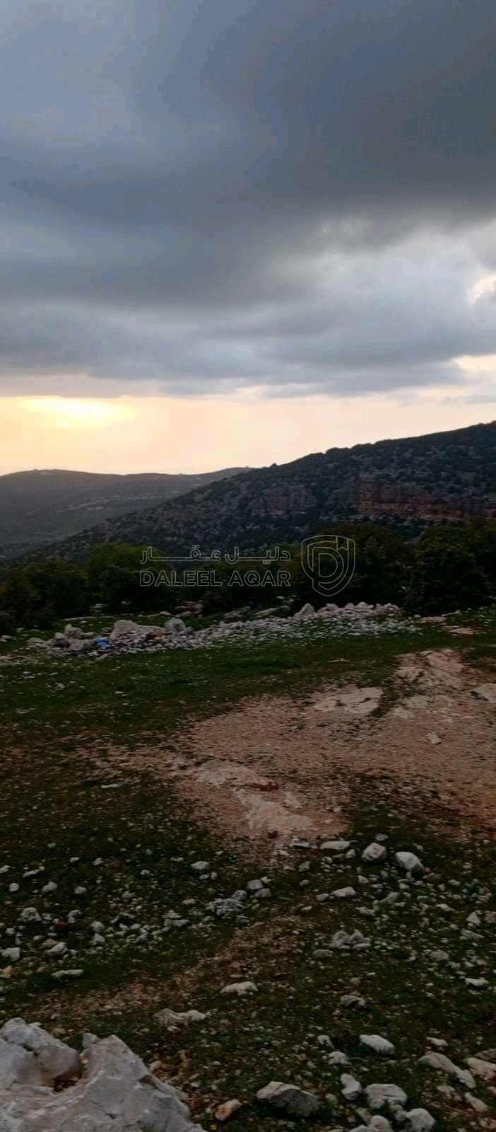 أرض في أرض على رأس جبل مطله على فلسطين في منطقه سياحيه - 250,000 دأ - صورة 1