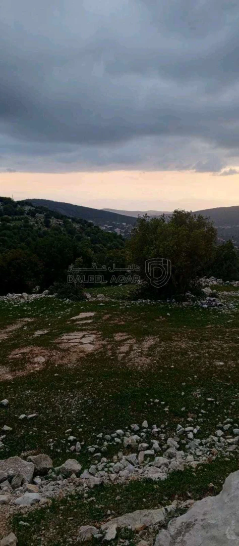 أرض في أرض على رأس جبل مطله على فلسطين في منطقه سياحيه - 250,000 دأ - صورة 1