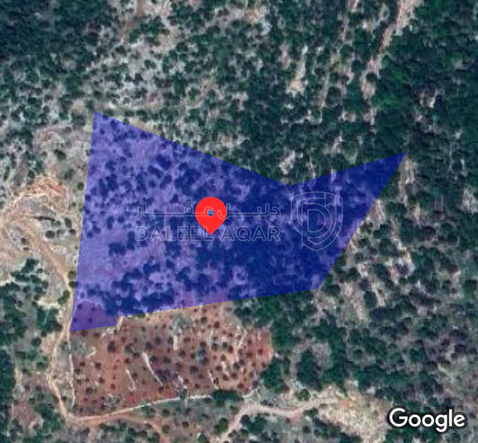 أرض في أرض على رأس جبل مطله على فلسطين في منطقه سياحيه - 250,000 دأ - صورة 1
