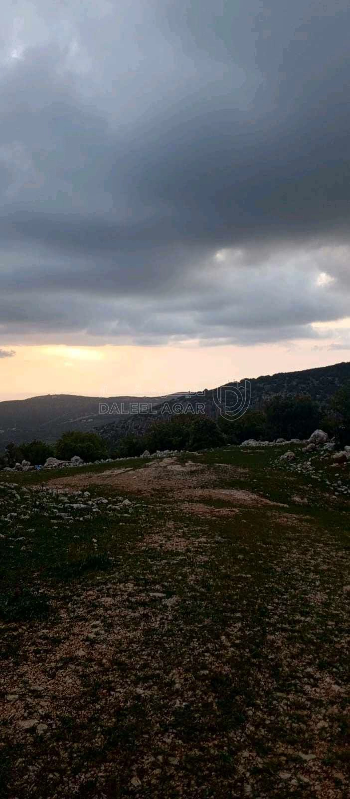 أرض في أرض على رأس جبل مطله على فلسطين في منطقه سياحيه - 250,000 دأ - صورة 1