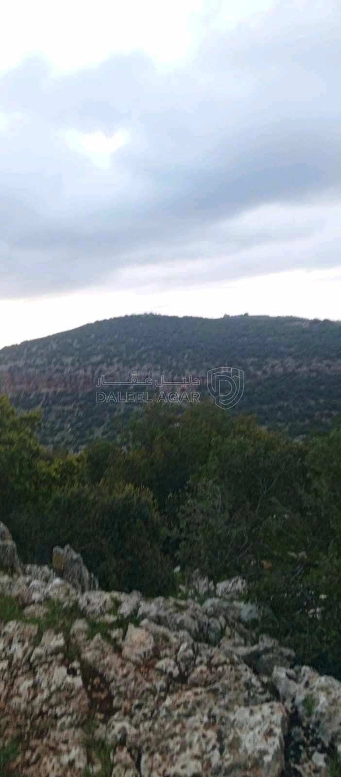 أرض في أرض على رأس جبل مطله على فلسطين في منطقه سياحيه - 250,000 دأ - صورة 1