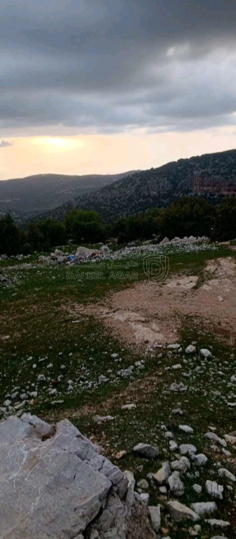 أرض في أرض على رأس جبل مطله على فلسطين في منطقه سياحيه - 250,000 دأ - صورة 1