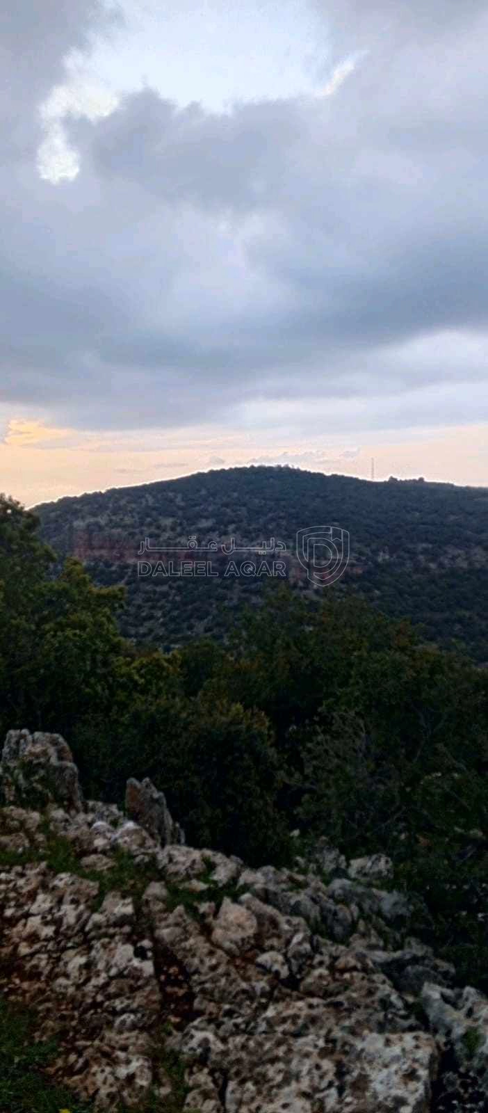 أرض في أرض على رأس جبل مطله على فلسطين في منطقه سياحيه - 250,000 دأ - صورة 1