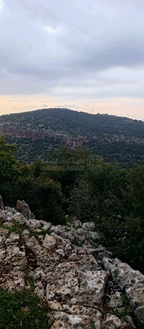 أرض في أرض على رأس جبل مطله على فلسطين في منطقه سياحيه - 250,000 دأ - صورة 1