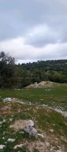 أرض في أرض على رأس جبل مطله على فلسطين في منطقه سياحيه - 250,000 دأ - صورة NaN