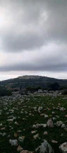 أرض في أرض على رأس جبل مطله على فلسطين في منطقه سياحيه - 250,000 دأ - صورة NaN
