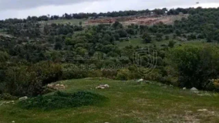 أرض في أرض على رأس جبل مطله على فلسطين في منطقه سياحيه - 250,000 دأ - صورة 1