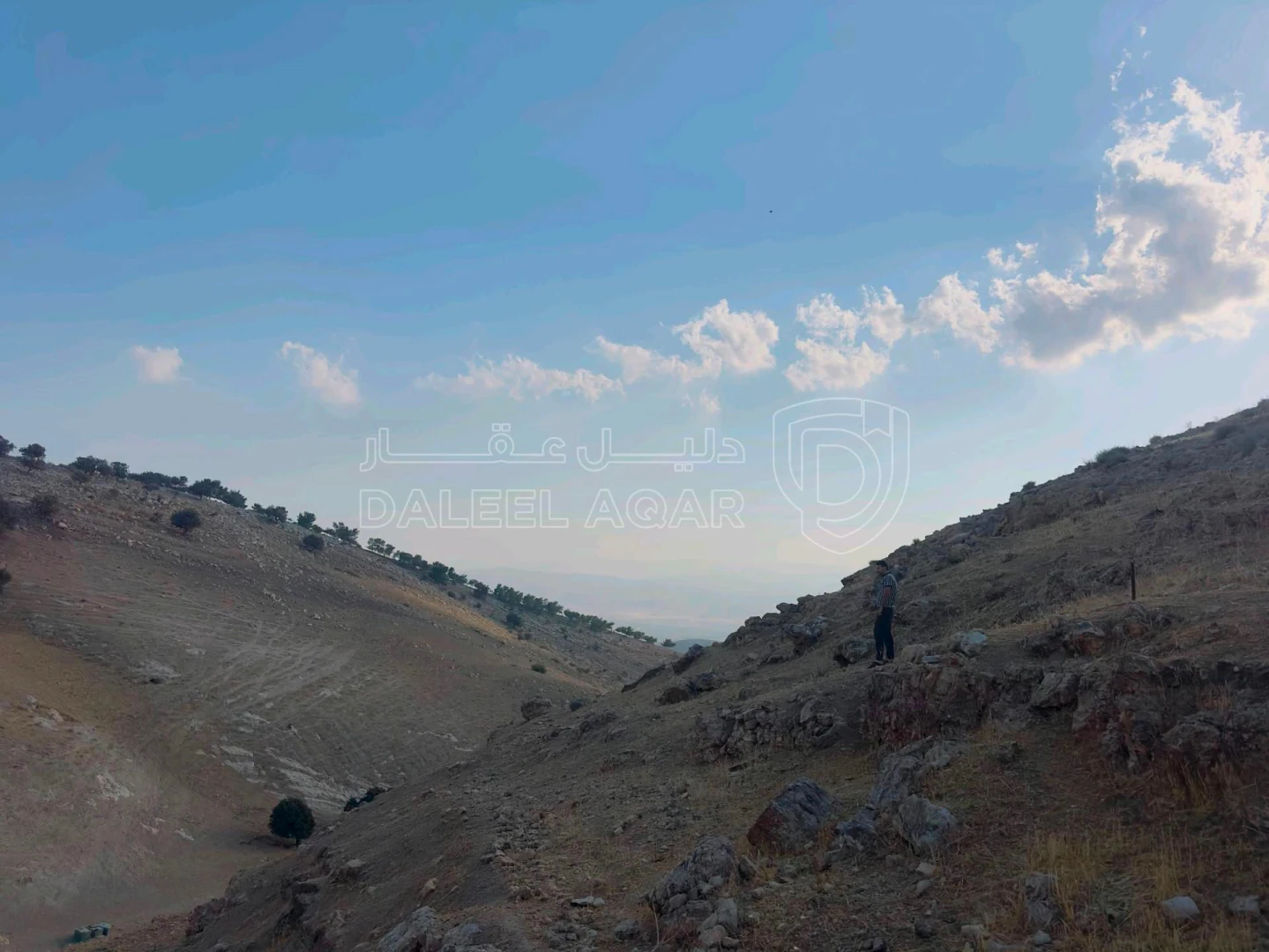 أرض في أرض للبيع بقوشان مستقل عجلون حلاوه - 21,000 دأ - صورة 1