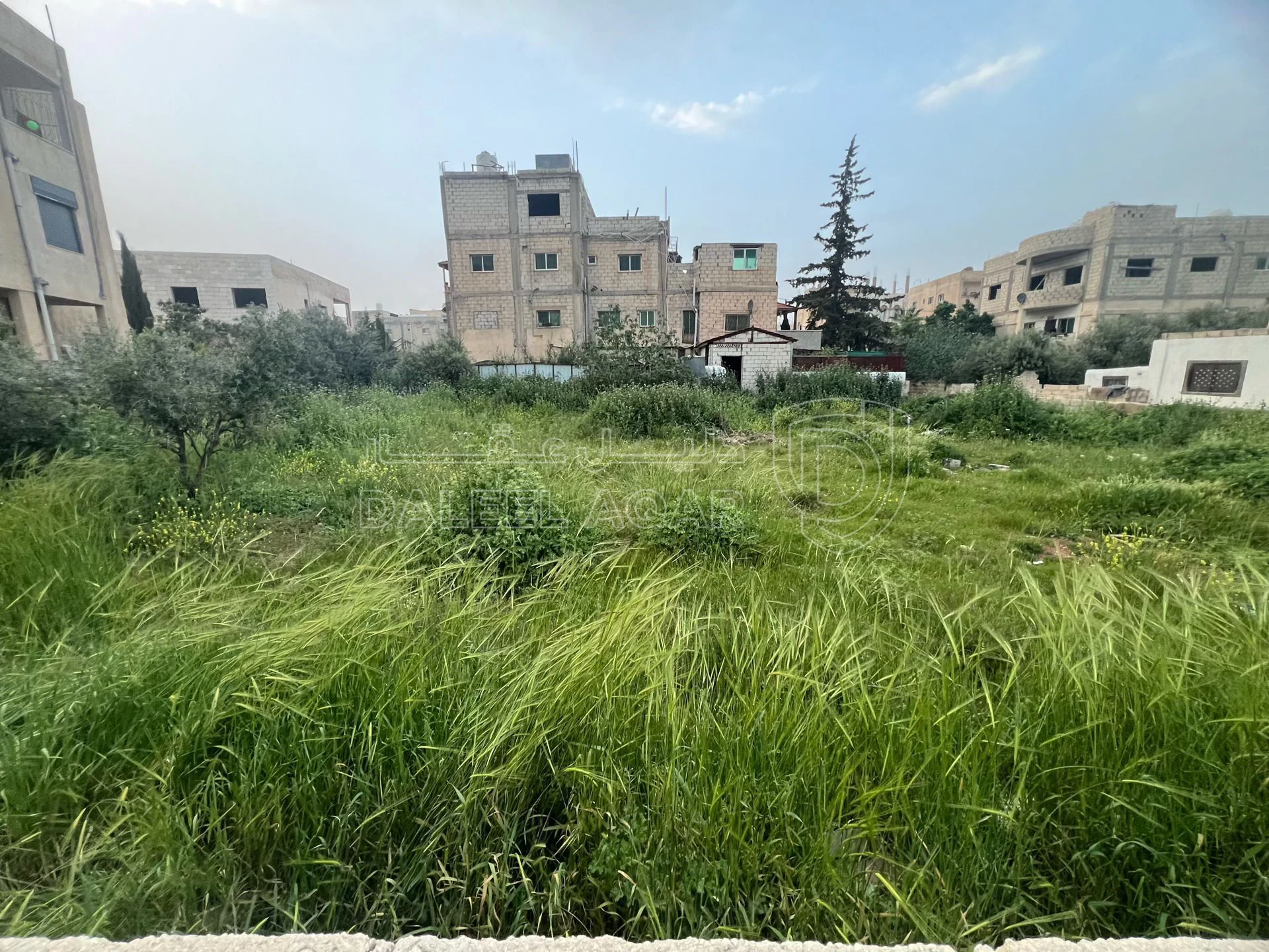 أرض في عمان خريبه السوق  - 47,000 دأ - صورة 2