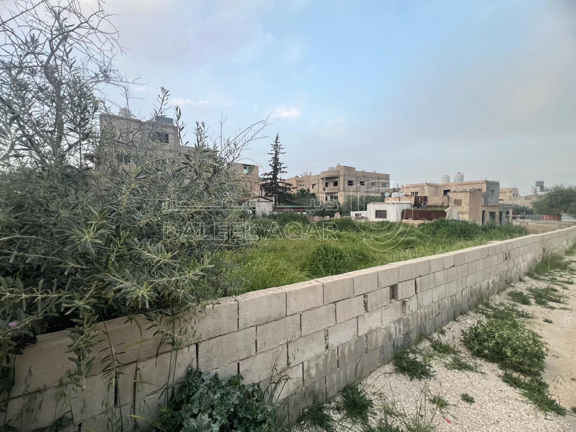 أرض في عمان خريبه السوق  - 47,000 دأ - صورة 3