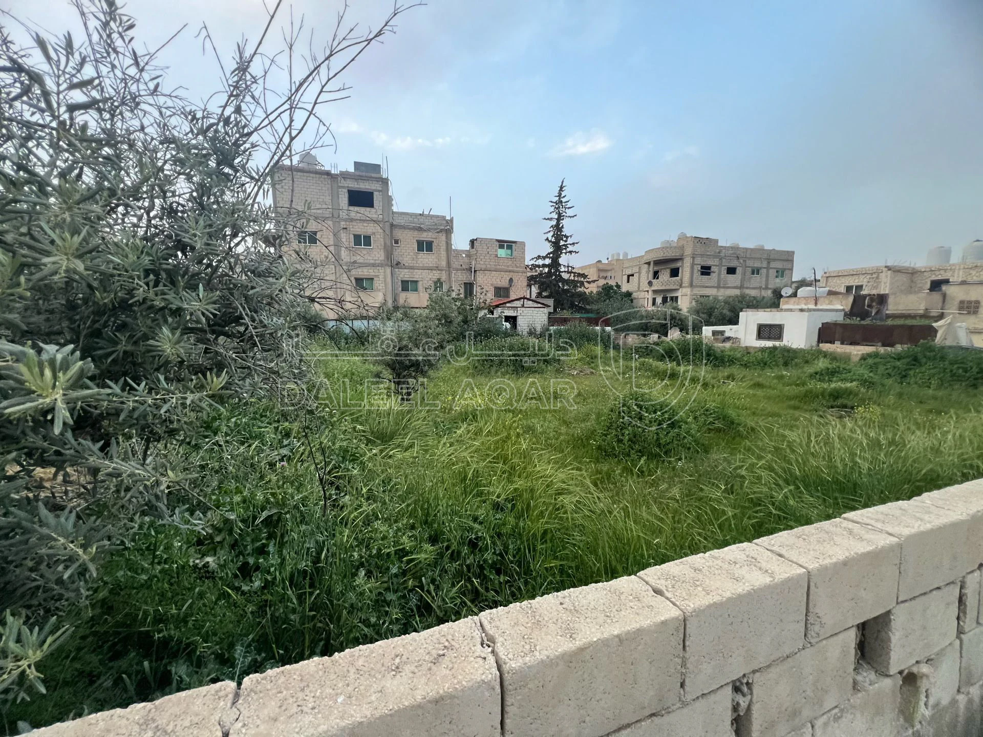 أرض في عمان خريبه السوق  - 47,000 دأ - صورة 4