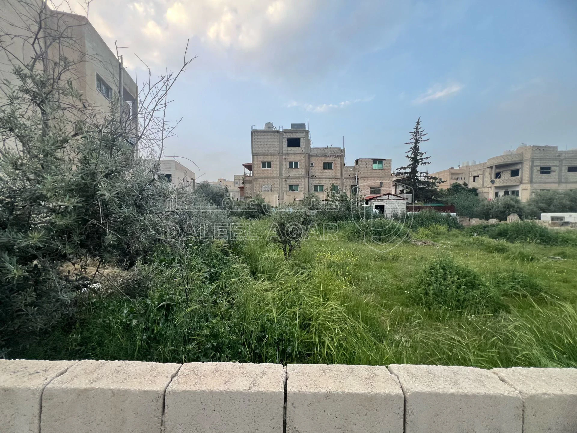 أرض في عمان خريبه السوق  - 47,000 دأ - صورة 5