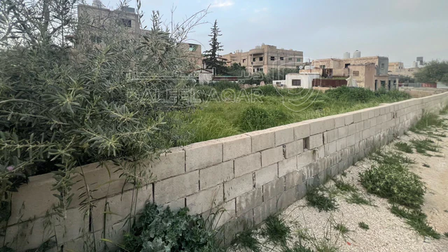 أرض في عمان خريبه السوق  - 47,000 دأ - صورة NaN