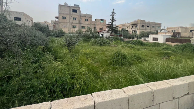 أرض - عمان خريبه السوق  - 47000 دأ