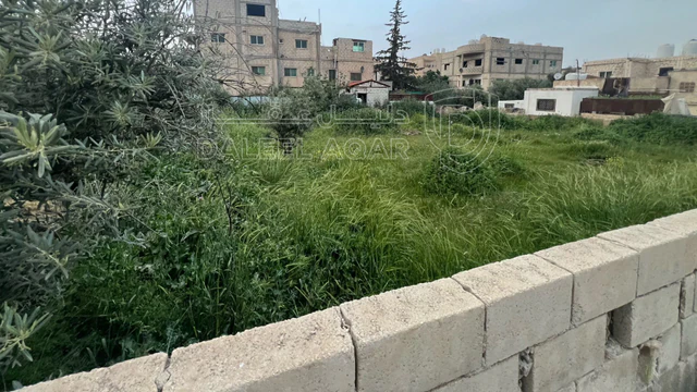 أرض في عمان خريبه السوق  - 47,000 دأ - صورة NaN