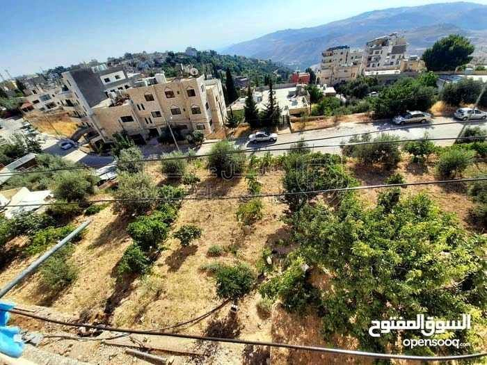 أرض في ماحص الفحيص  - 90,000 دأ - صورة 1