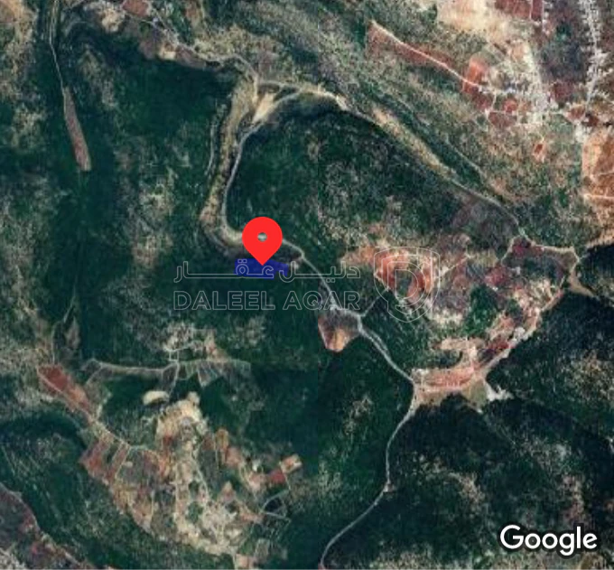 أرض في عجلون سوس راسون - 125,000 دأ - صورة 1