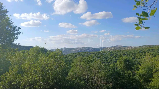 أرض في عجلون سوس راسون - 125,000 دأ - صورة 1