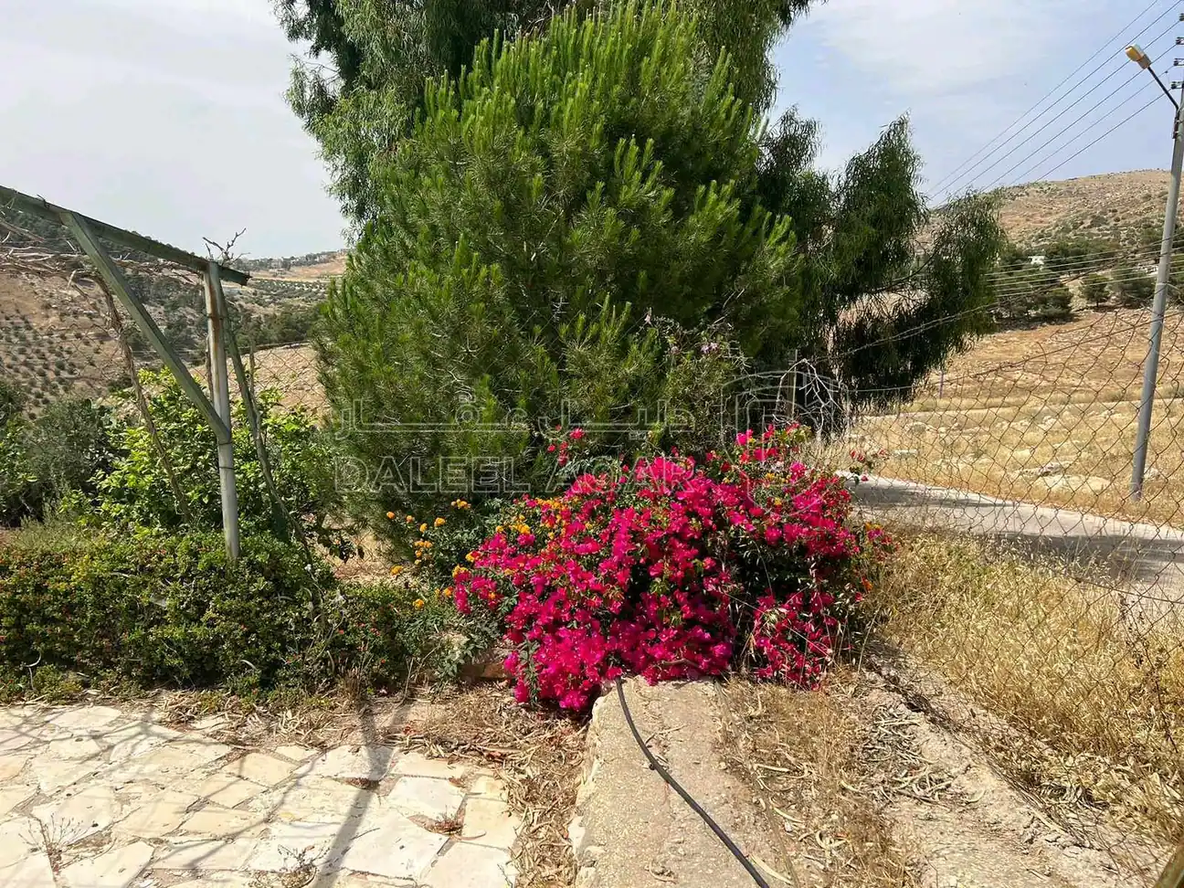 مزرعة/شاليه في السلط يرقا إسكان المهندسين ام زويتيه  - 65,000 دأ - صورة 1