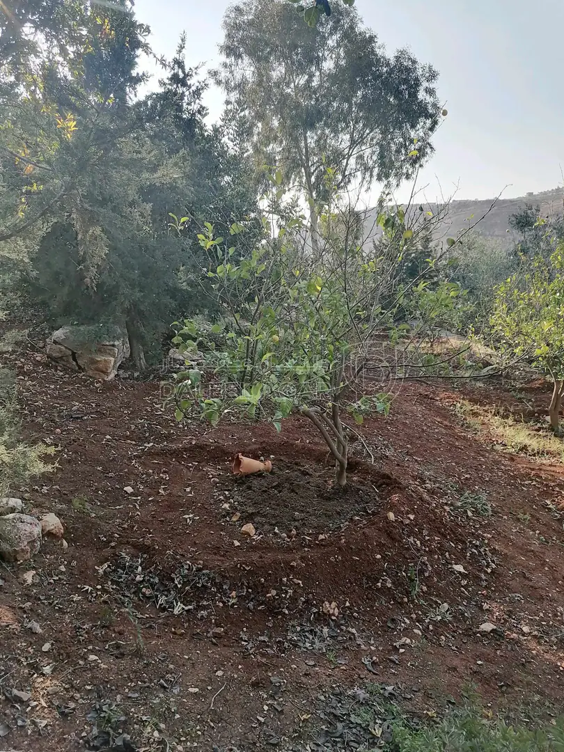 مزرعة/شاليه في السلط يرقا إسكان المهندسين ام زويتيه  - 65,000 دأ - صورة 1