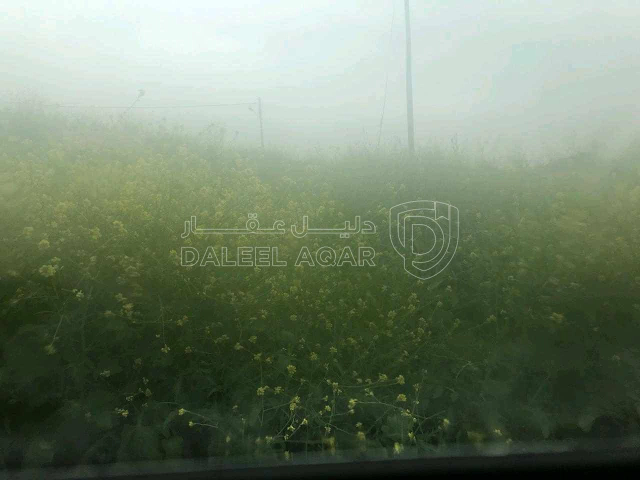 مزرعة/شاليه في السلط يرقا إسكان المهندسين ام زويتيه  - 65,000 دأ - صورة 1
