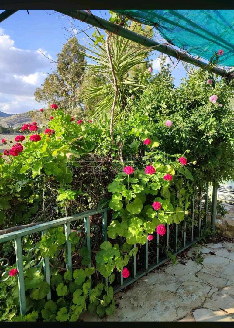 مزرعة/شاليه في السلط يرقا إسكان المهندسين ام زويتيه  - 65,000 دأ - صورة 1
