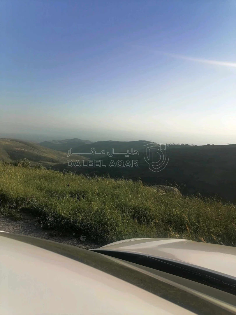 مزرعة/شاليه في السلط يرقا إسكان المهندسين ام زويتيه  - 65,000 دأ - صورة 1