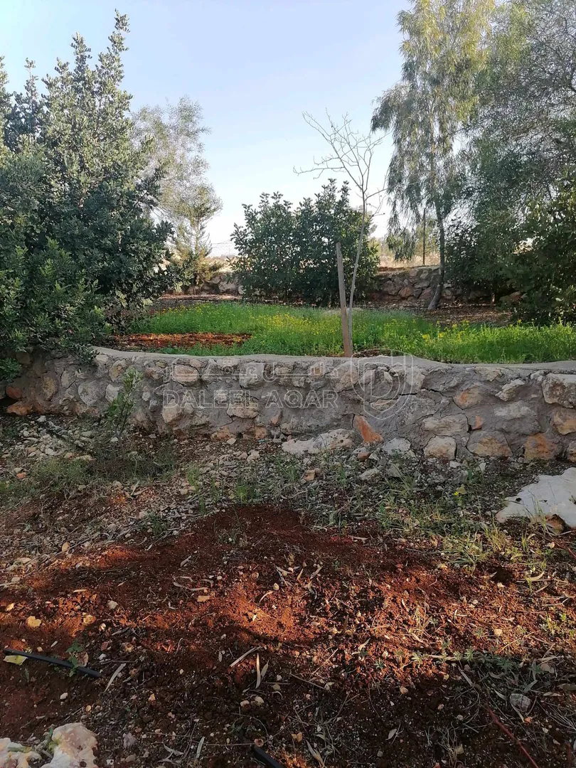 مزرعة/شاليه في السلط يرقا إسكان المهندسين ام زويتيه  - 65,000 دأ - صورة 1