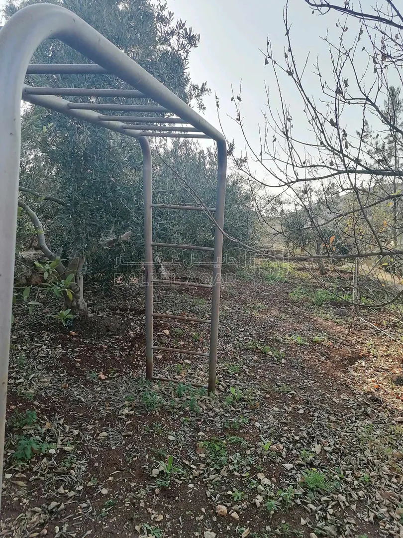 مزرعة/شاليه في السلط يرقا إسكان المهندسين ام زويتيه  - 65,000 دأ - صورة 1