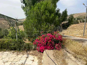 مزرعة/شاليه في السلط يرقا إسكان المهندسين ام زويتيه  - 65,000 دأ - صورة NaN