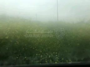 مزرعة/شاليه في السلط يرقا إسكان المهندسين ام زويتيه  - 65,000 دأ - صورة NaN