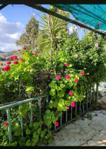 مزرعة/شاليه في السلط يرقا إسكان المهندسين ام زويتيه  - 65,000 دأ - صورة NaN