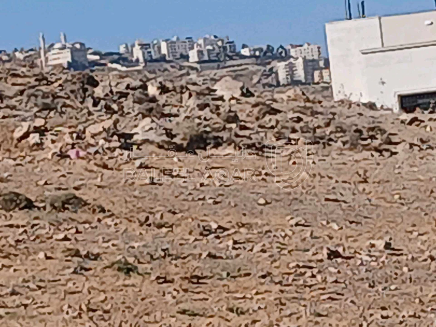 أرض في  إسكان يثرب  - 82,000 دأ - صورة 1