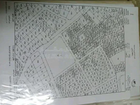 أرض - الزرقاء حي معصوم / شارع مدرسة الشاملة الثانوية - 150000 دأ