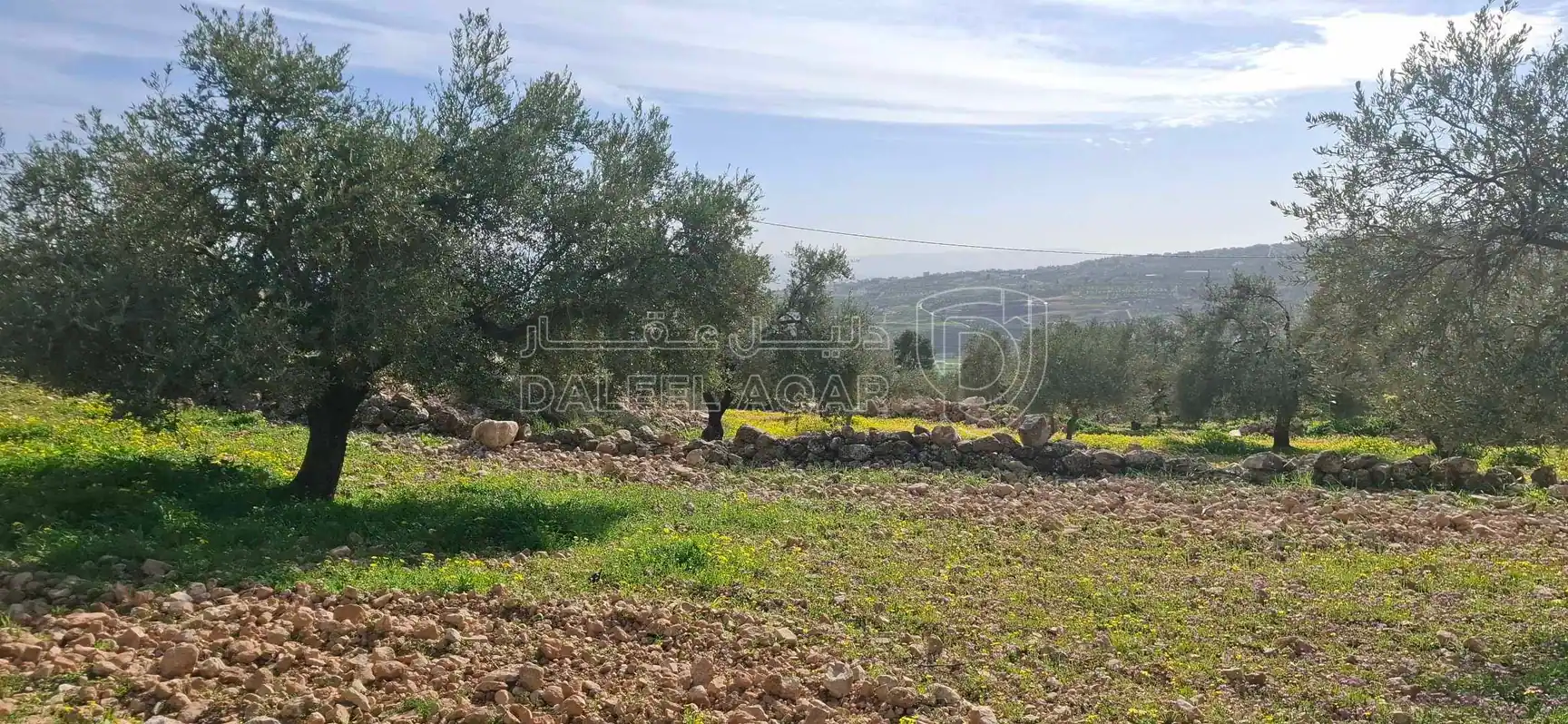 أرض في جرش عصفور قرب مثلث عصفور - 42,000 دأ - صورة 1
