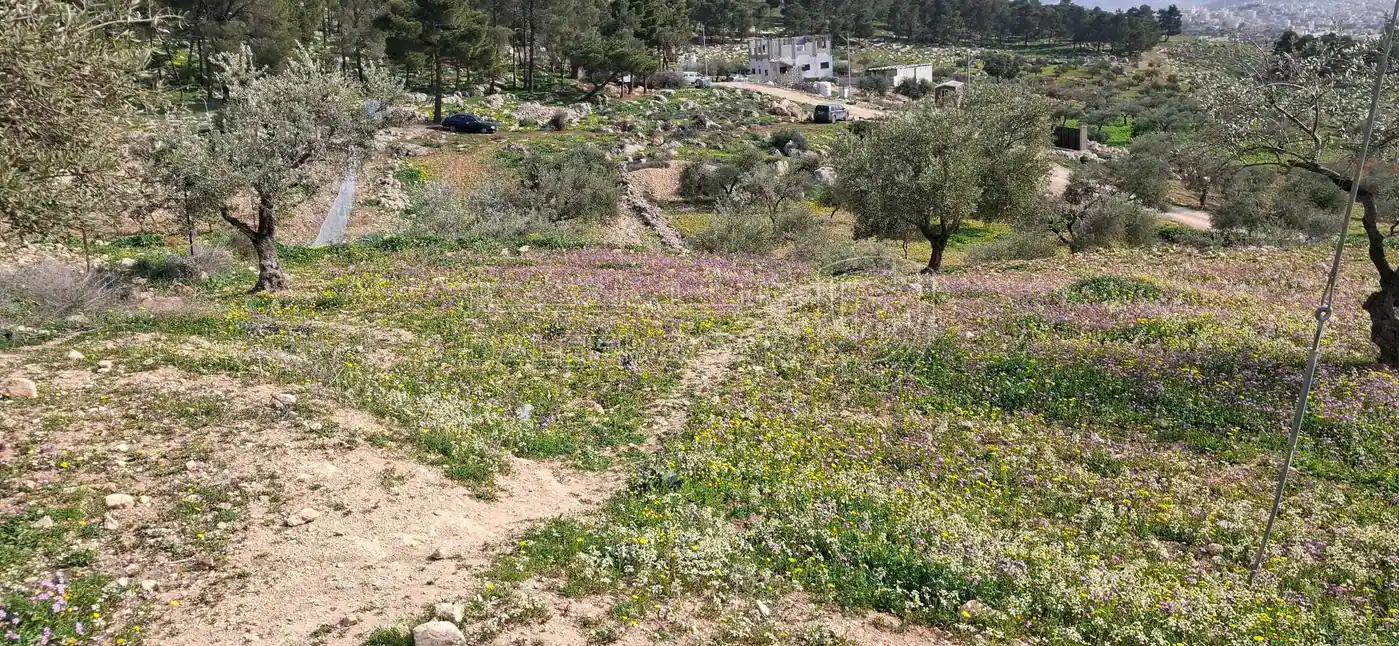 أرض في جرش عصفور قرب مثلث عصفور - 42,000 دأ - صورة 1