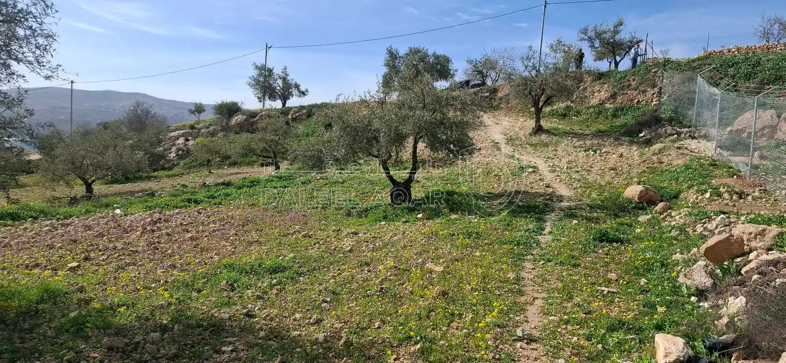 أرض في جرش عصفور قرب مثلث عصفور - 42,000 دأ - صورة 1