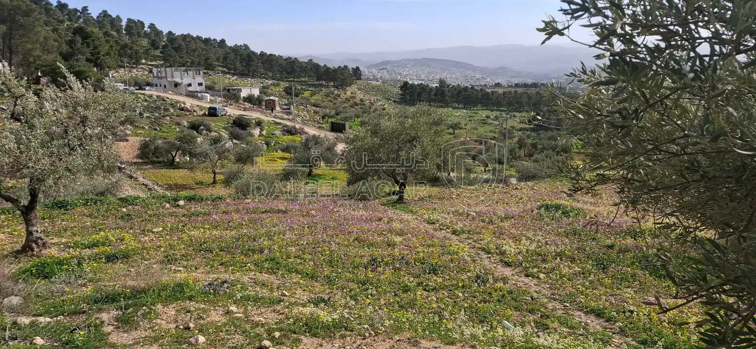 أرض في جرش عصفور قرب مثلث عصفور - 42,000 دأ - صورة 1