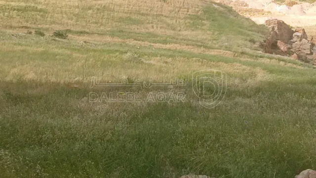أرض - ارض سكني للبيع مرج ااحمام الطبقة خلف الضهير  - 153000 دأ