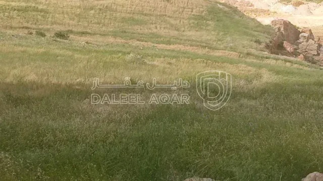 أرض - ارض سكني للبيع مرج ااحمام الطبقة خلف الضهير  - 153000 دأ